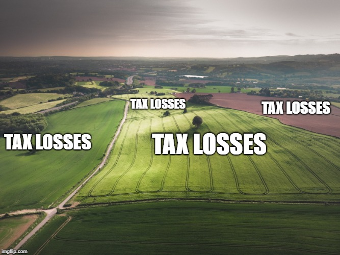 Tax losses